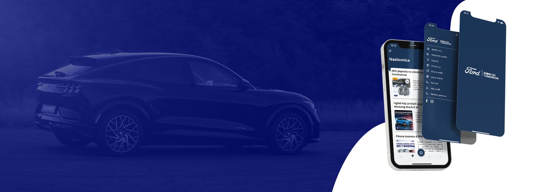 Ford Program Vjernosti